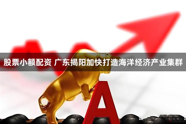股票小额配资 广东揭阳加快打造海洋经济产业集群