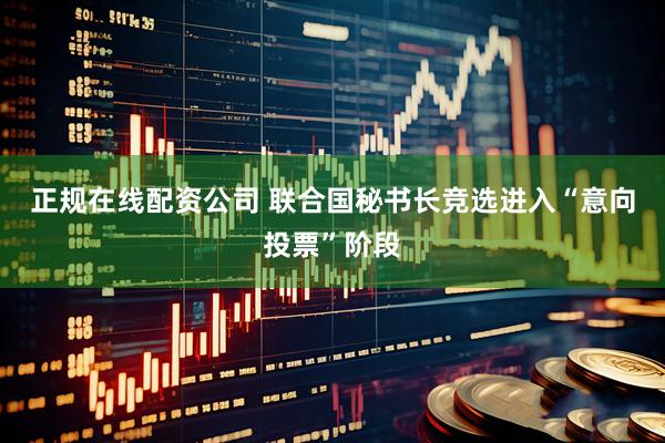 正规在线配资公司 联合国秘书长竞选进入“意向投票”阶段